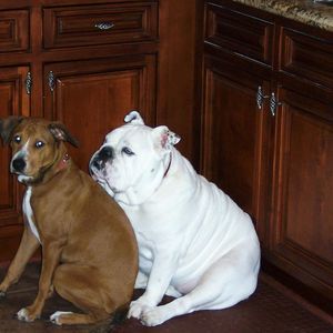 Meet your Posher, Barbara